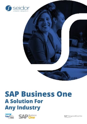 SAP Business One White Paper Teaser